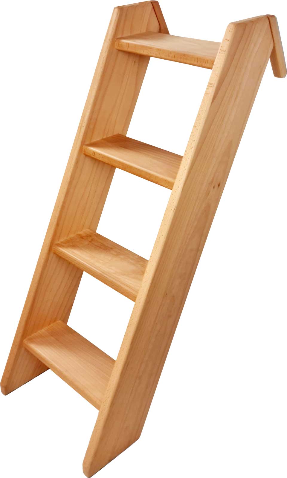 Inclined Ladder