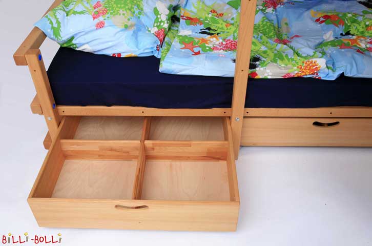 Bed drawer with compartments (Bed Drawers)