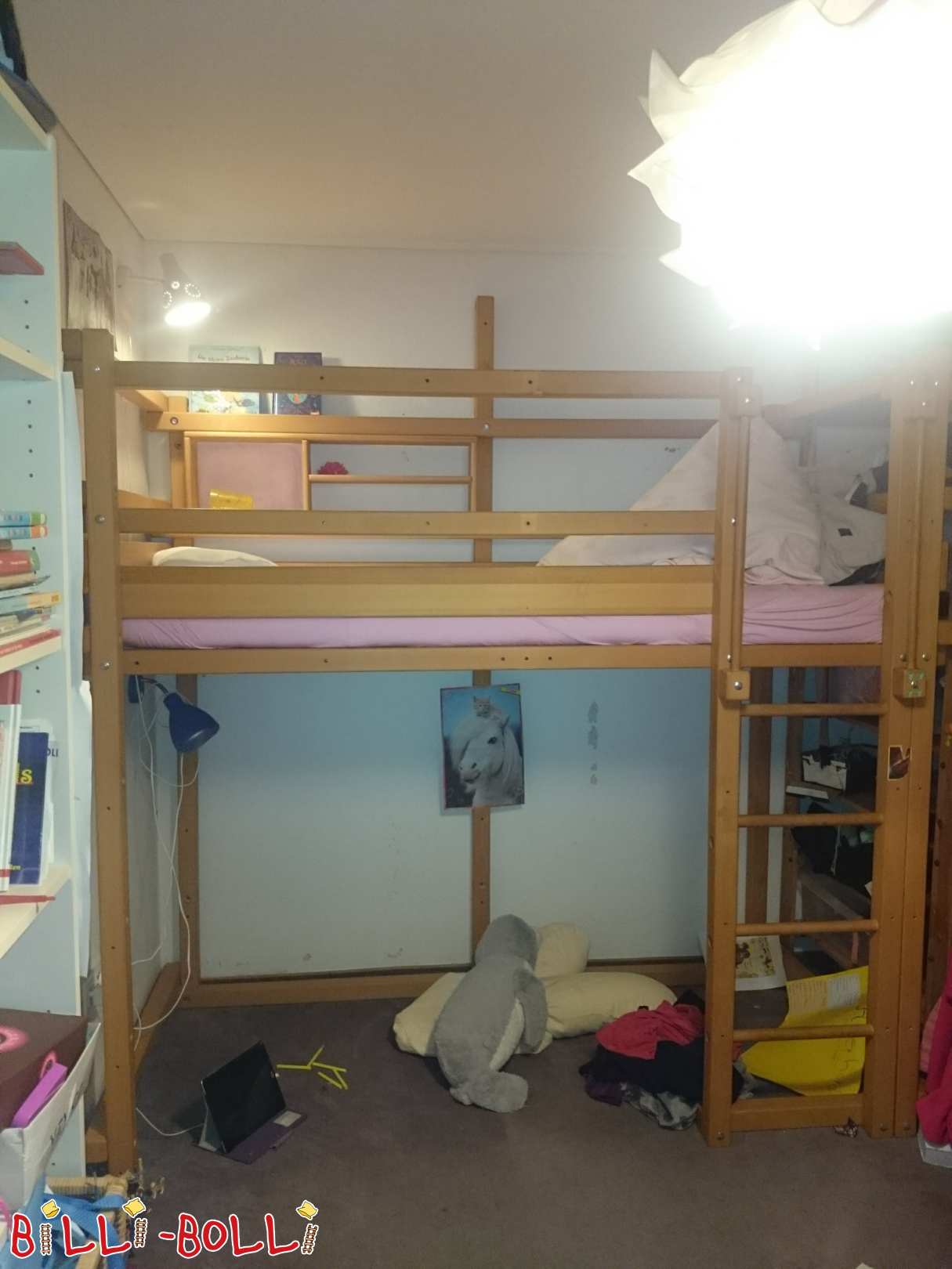 ૫૩૭૭૩ હેન્નેફ (સીગ) માં બીચ લોફ્ટ બેડ + બુકકેસ તોડીને સંગ્રહ માટે તૈયાર (શ્રેણી: લોફ્ટ બેડ તમારી નીચે)