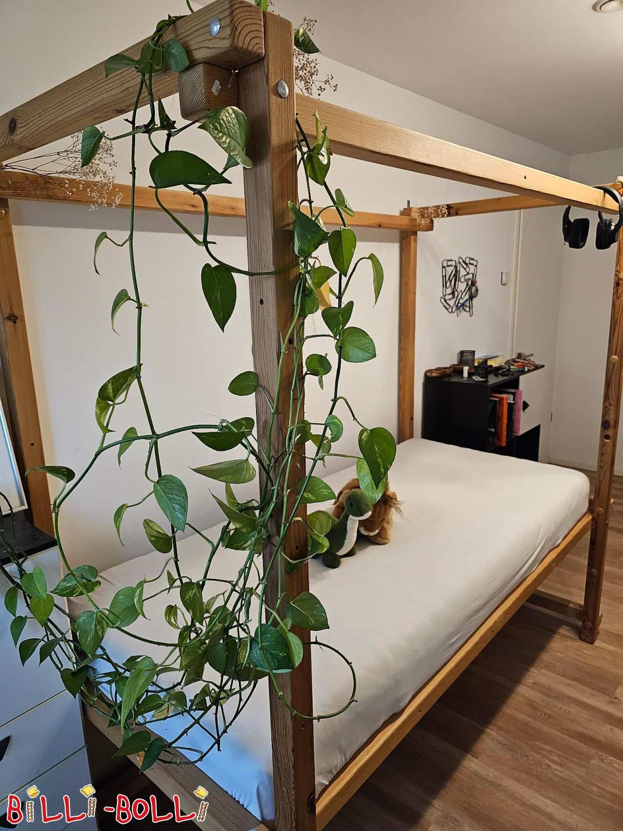 Bērnu gultiņa, kas aug kopā ar bērnu - dabīgais koks - bez mājdzīvniekiem - bez dūmiem (Kategorija: Bēniņu gulta, kas aug kopā ar bērnu lietotu)