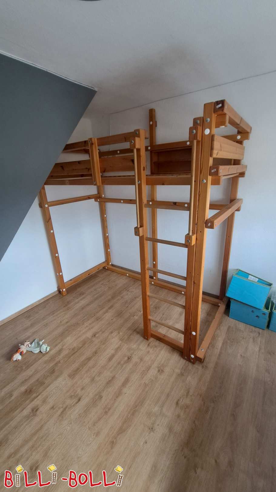 Uzgoj potkrovlja (bor) u Tiringiji (Categori: Potkrovlje raced sa vama used)